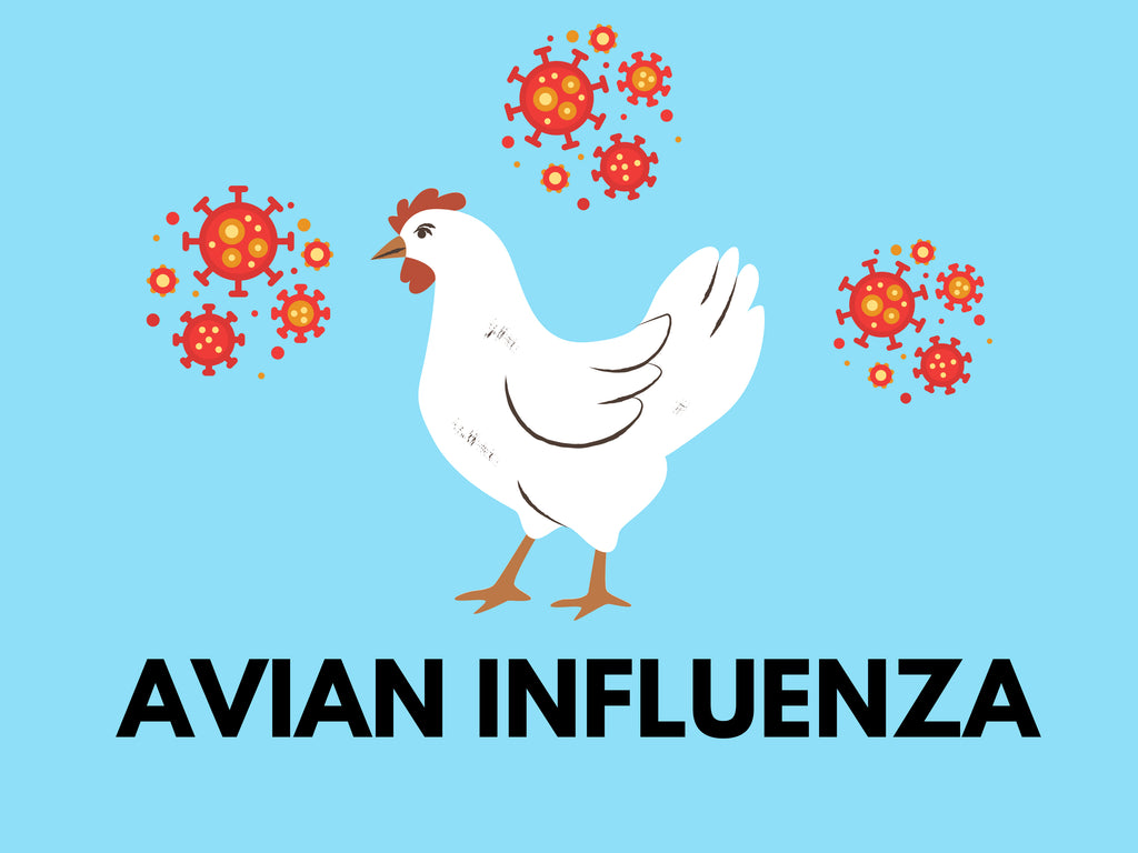 Protect Yourself From Bird Flu: The Importance Of NIOSH-Approved N95 Masks